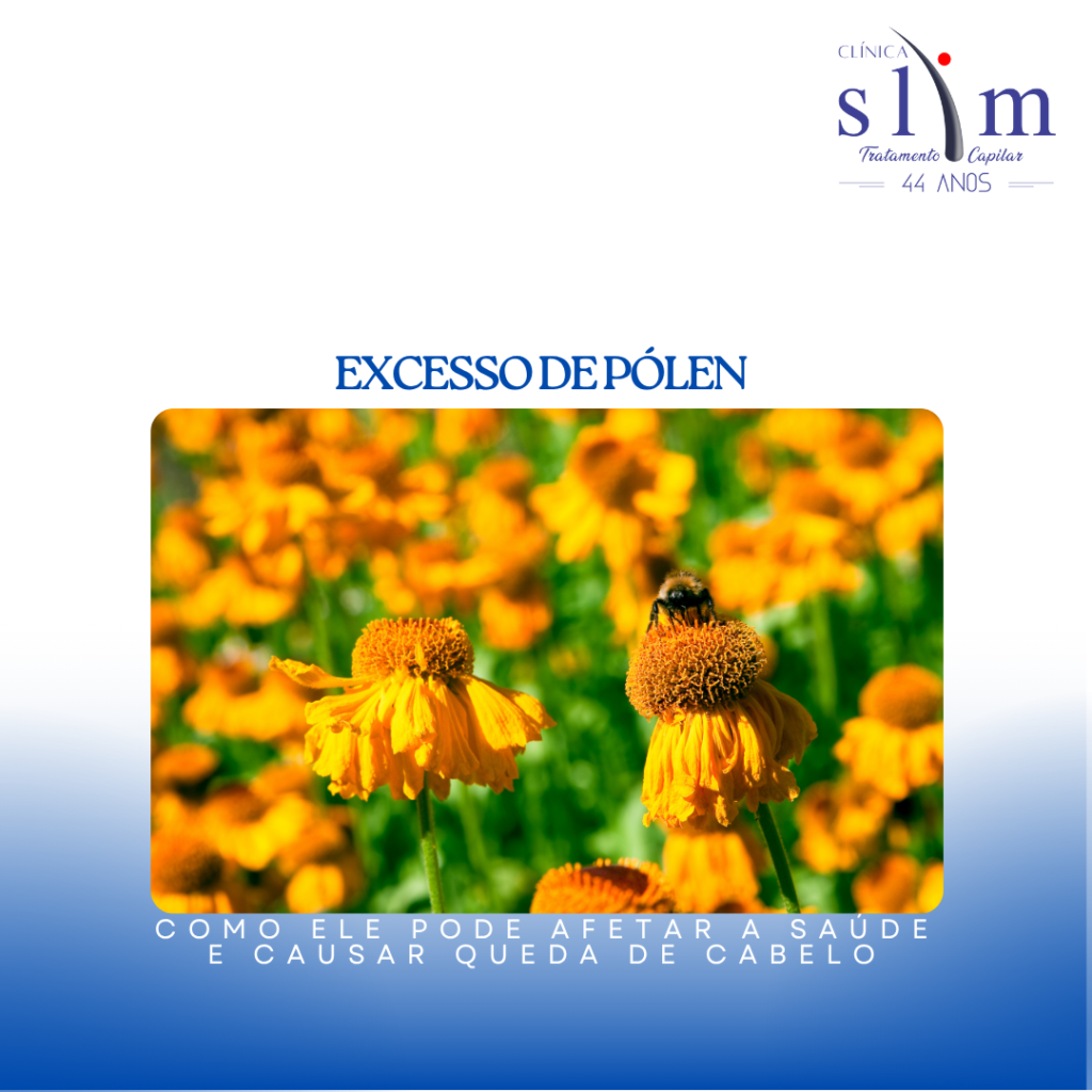 Capa Blog